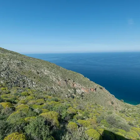 Galani *